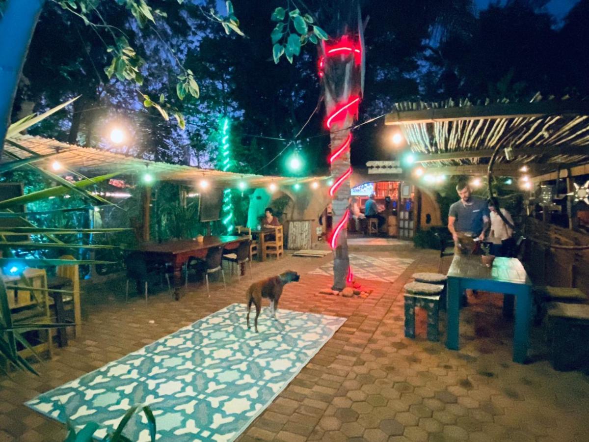 Karoozin Village Oudtshoorn Dış mekan fotoğraf